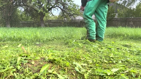 Grass Trimmer and Grass Cutter. Gardener mows weeds grass. Vídeo Stock 251479123