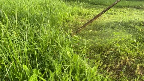 Grass Trimmer and Grass Cutter. Gardener mows weeds grass. Stockbeeldmateriaal 251480252