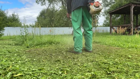 Grass Trimmer and Grass Cutter. lawn maintenance service. Stock Footage 252103111