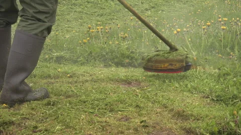 Grass Trimmer and a worker in rubber boots Stock Footage 239659915