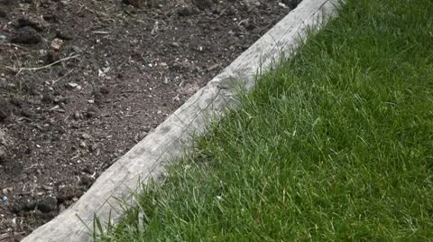 Grass Trimmer Video stock 10594586