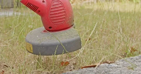 Grass trimmer mowing the edge of a dry lawn in slow motion 動画素材 244691448