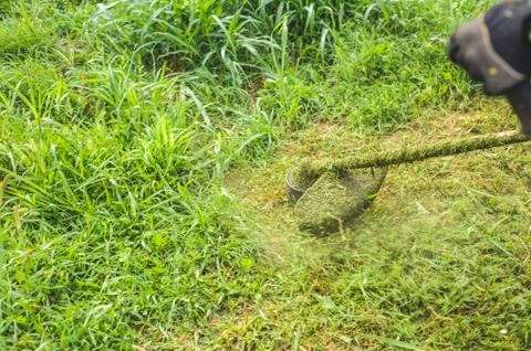 Grass trimmer Stock Photos