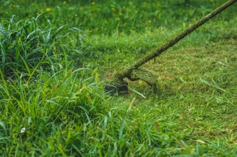 Grass trimmer Stock Photos