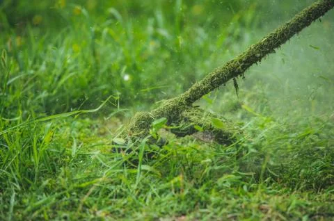 Grass trimmer Stock Photos