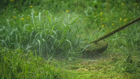 Grass trimmer Stock Photos