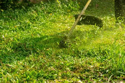 Grass Trimming Stock Photos