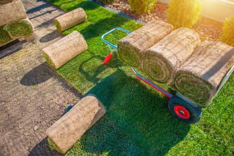 Grass turf installation Stock Photos