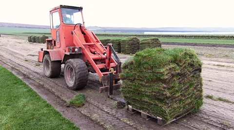Grass turf transport during machine cutting. Stock Footage 60975581