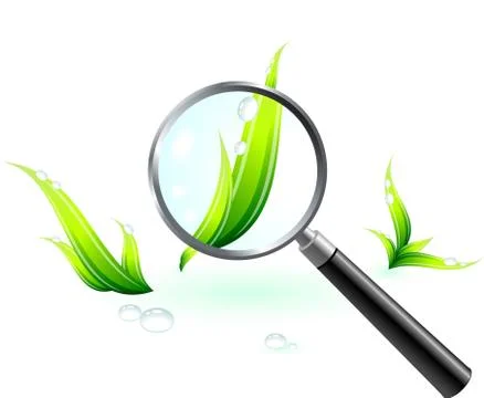 Grass under the magnifying glass Stock Illustration