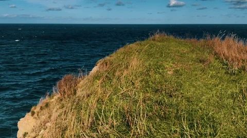 Grass under wind and rocks. Stock Footage 95696032
