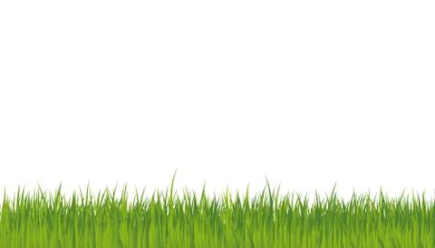 Grass vector background Stock Illustration