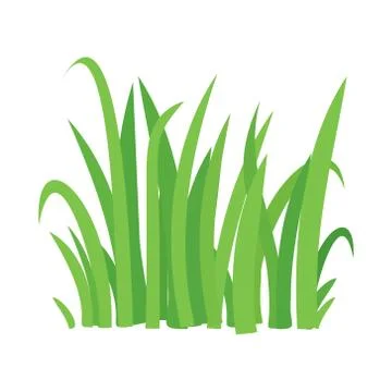Grass vector cartoon texture. Grass field shape green silhouette plant bush Stock Illustration