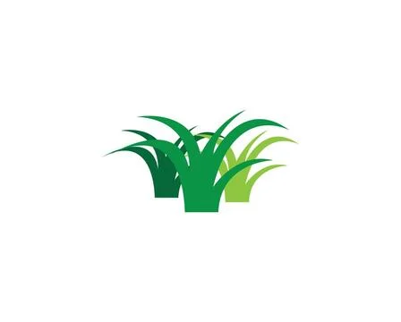 Grass vector illustration template grass vector illustration template desi... Foto stock