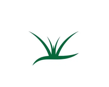 Grass vector illustration template grass vector illustration template desi... Foto stock