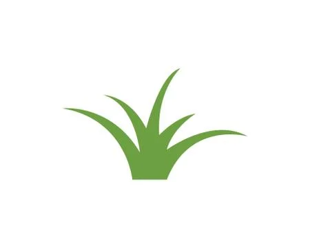 Grass vector illustration template Illustrazione stock