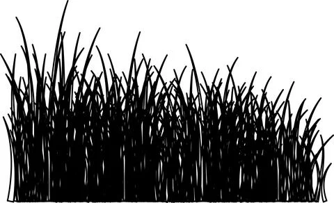 Grass vector image. Outline grassland or meadow sketch, simple field design. Ilustração Stock
