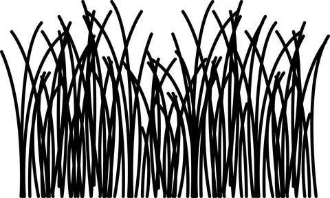 Grass vector image. Outline grassland or meadow sketch, simple field design. Illustration
