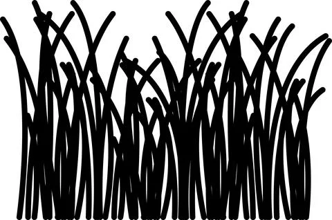 Grass vector image. Outline grassland or meadow sketch, simple field design. Illustrazione stock