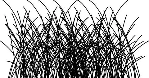 Grass vector image. Outline grassland or meadow sketch, simple field design. 스톡 일러스트