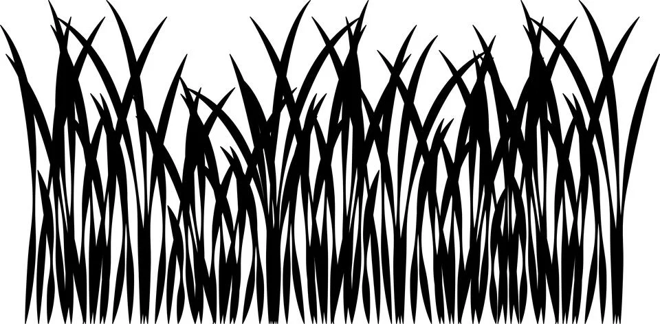 Grass vector image. Outline grassland or meadow sketch, simple field design. Illustrazione stock