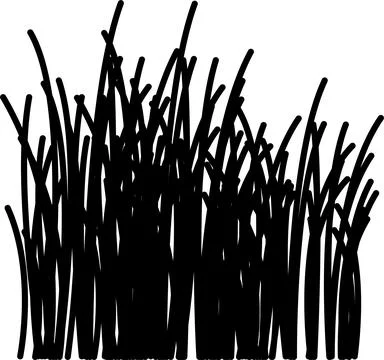 Grass vector image. Outline grassland or meadow sketch, simple field design. Illustrazione stock