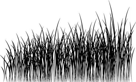 Grass vector image. Outline grassland or meadow sketch, simple field design. Illustration