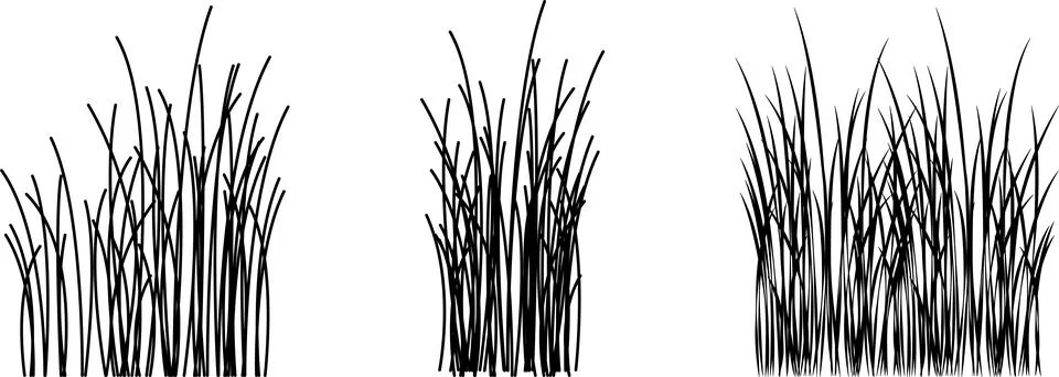 Grass vector image. Outline grassland or meadow sketch, simple field design. 스톡 일러스트