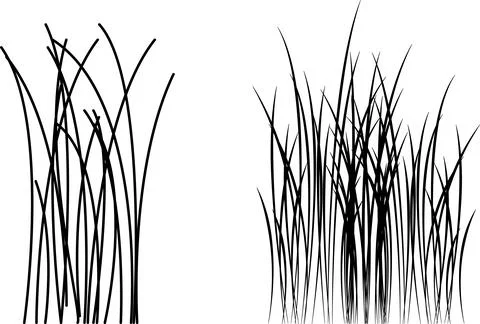 Grass vector image. Outline grassland or meadow sketch, simple field design. 스톡 일러스트