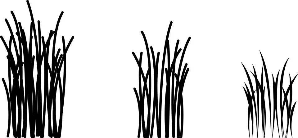 Grass vector image. Outline grassland or meadow sketch, simple field design. 스톡 일러스트
