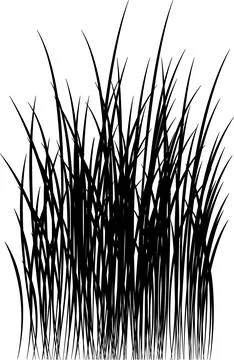 Grass vector image. Outline grassland or meadow sketch, simple field design. Иллюстрация