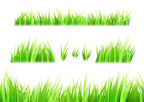 Grass vector isolated on white background. Tufts of grass. Green summer lawn set Stockillustratie