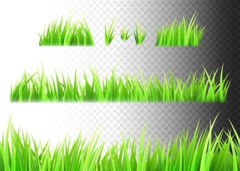 Grass vector isolated on white, black and transparent background. Tufts of grass Stock Illustration
