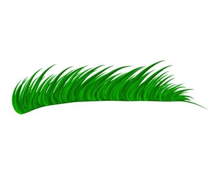 Grass vector symbol icon design. Beautiful illustration isolated on white bac Illustrazione stock