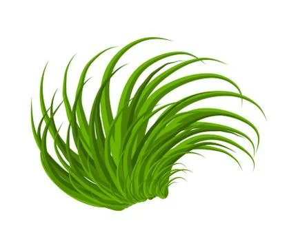 Grass vector symbol icon design. Beautiful illustration isolated on white bac 스톡 일러스트