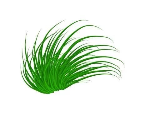 Grass vector symbol icon design. Beautiful illustration isolated on white bac Illustrazione stock