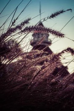 Grass view of hotel Foto stock