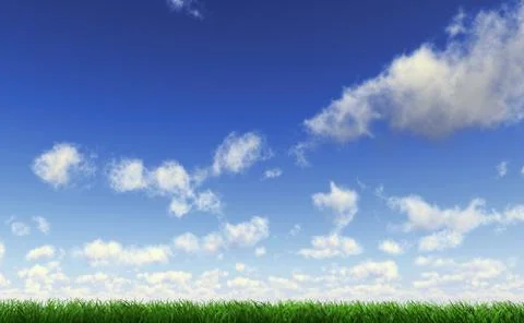 Grass viewed from a side at ground level with a fluffy cloudy sky. Stock Illustration