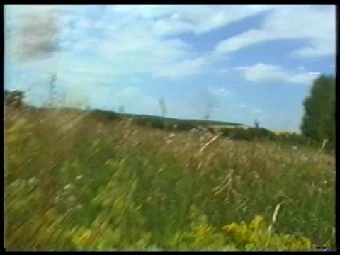 Grass Walk Stock Footage 340541266