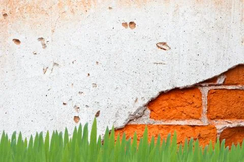 Grass on wall background and texture Stock Illustration