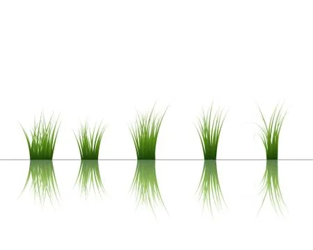 Grass on water Illustrazione stock