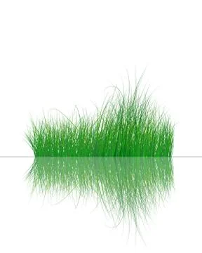 Grass on water Stock Illustration
