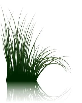 Grass on water Illustrazione stock