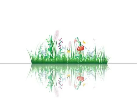 Grass on water Illustrazione stock