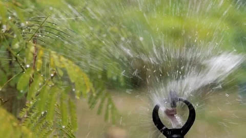 Grass watering Smart garden activated with full automatic sprinkler irrigation Video stock 334656798