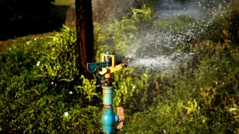 Grass watering Smart garden activated with full automatic sprinkler irrigation Video stock 334657663