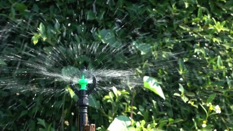 Grass watering Smart garden activated with full automatic sprinkler irrigation Stock-Footage 334657840