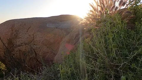 Grass Waving 1 in Slow Motion Video stock 152534353