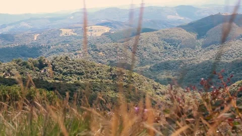 Grass waving with mountains in the back Stock Footage 148699391