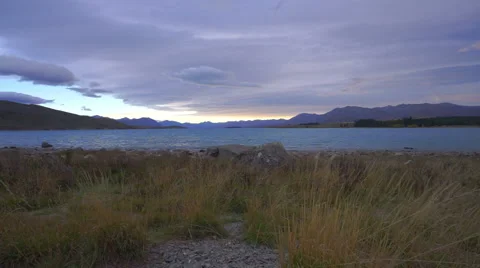 Grass Waving In The Wind By The Lakeside Video stock 64184586